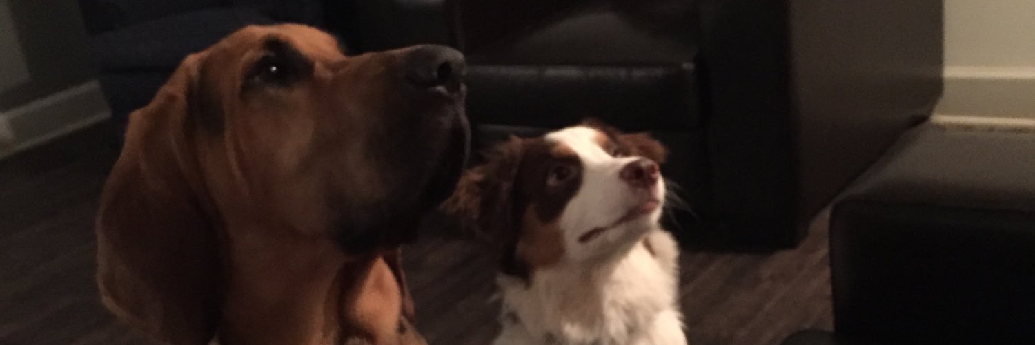 theBrenamButler's profile banner image