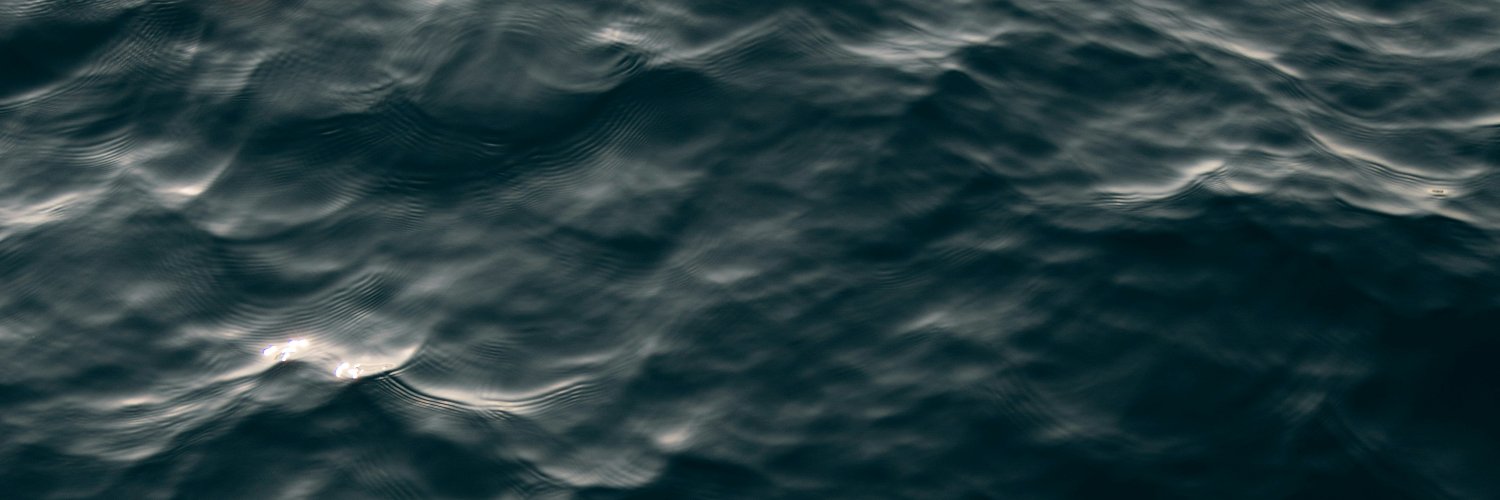 anuradha's profile banner image