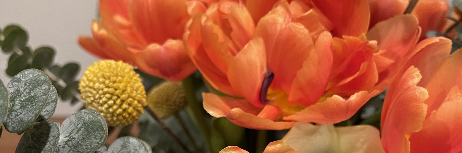 mariaferrerg's profile banner image