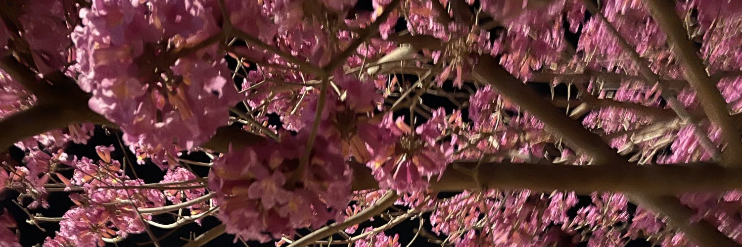 Smadarushka 🦋🎗️ banner