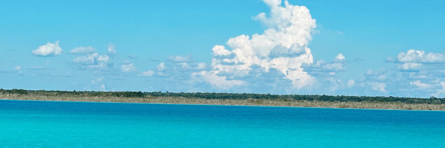 Marifer Ramirez 🐒 banner