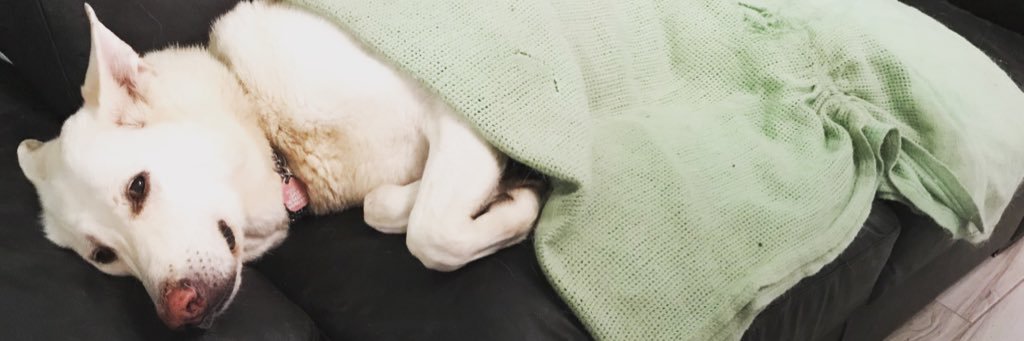 Linda banner