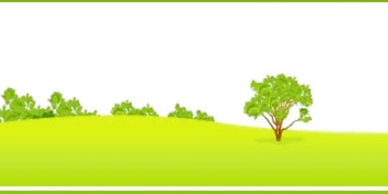 Faizudin Al Hamawi banner