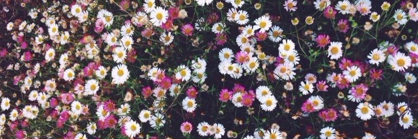 chaneetw's profile banner image