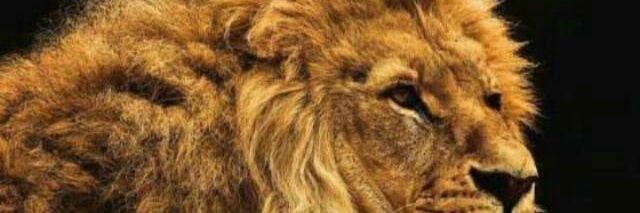 Sweetmichaels's profile banner image