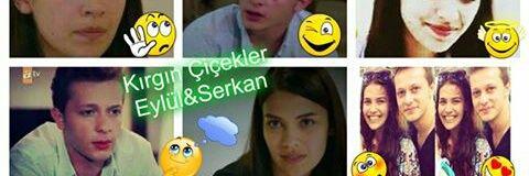 ecederin_'s profile banner image