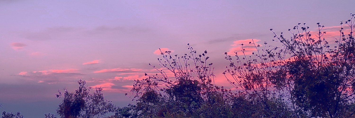 4ztr4's profile banner image