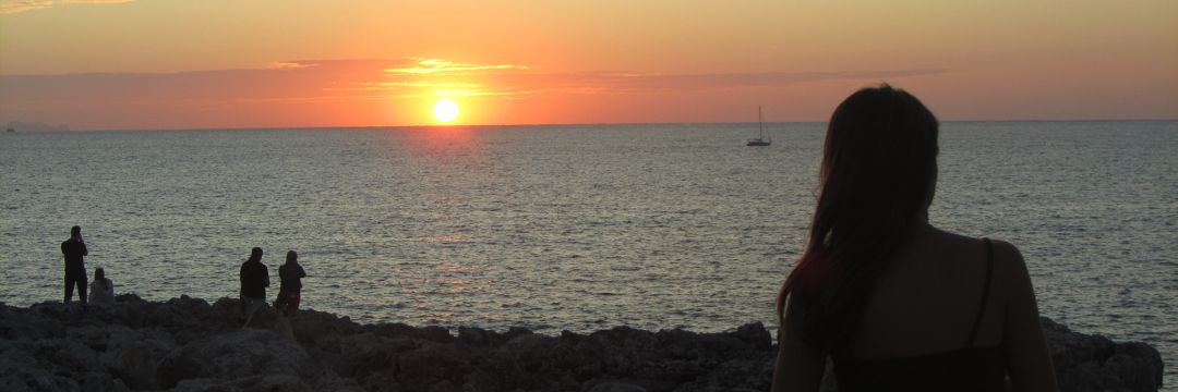 LaiaLlubes's profile banner image