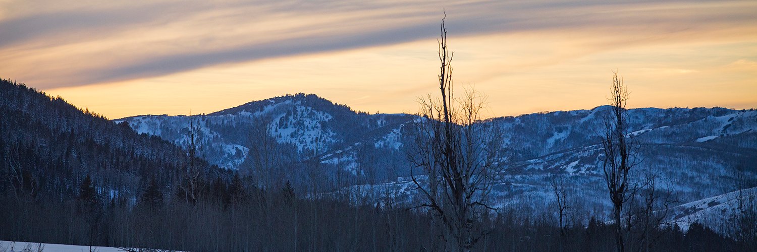 The Park Record banner