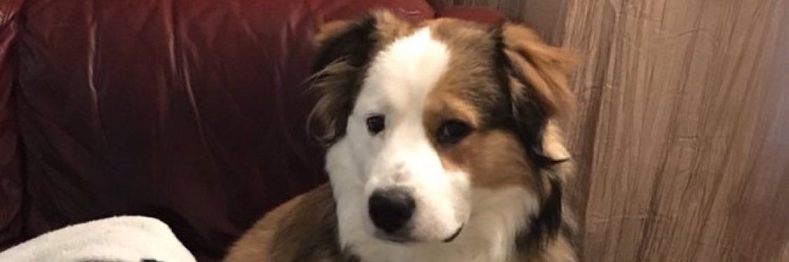 TCaseboldt's profile banner image