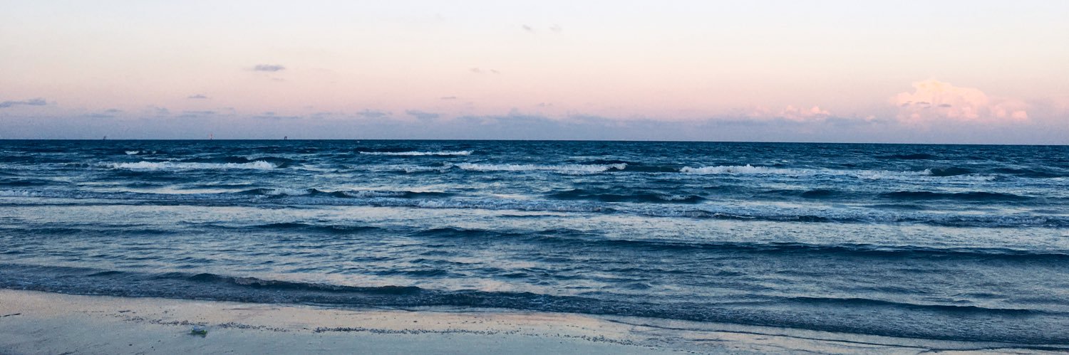 MirandaAvila95's profile banner image