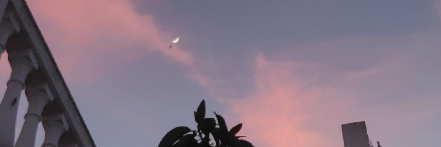 _Re_ne_e's profile banner image