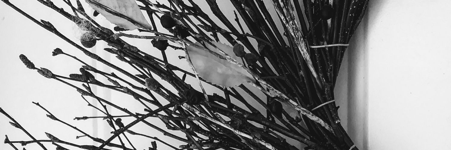 tiger4590's profile banner image
