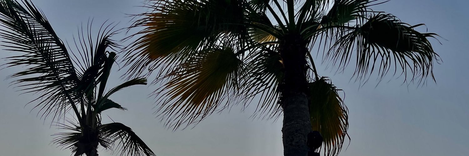 hollyperry4's profile banner image