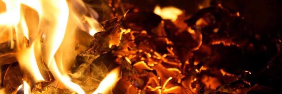RamshaSoofi's profile banner image