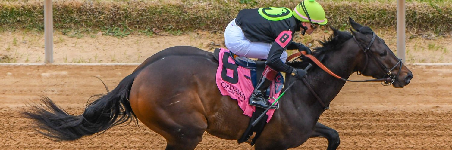 Matthew Wiley banner