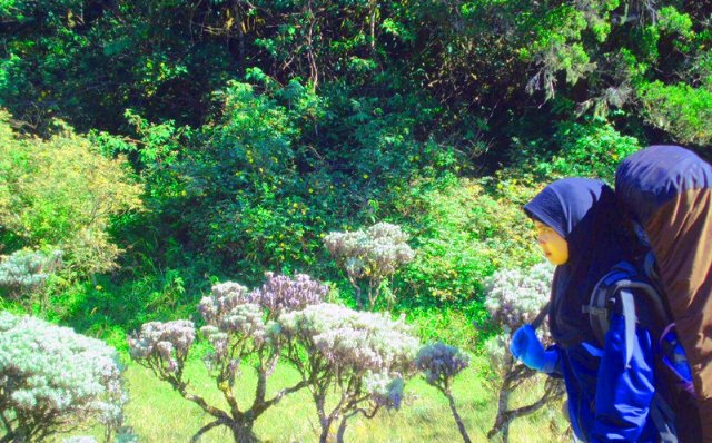 indrianasilky's profile banner image