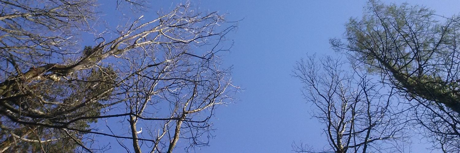 Manxisatwit's profile banner image
