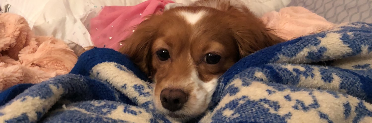 melieefelly's profile banner image