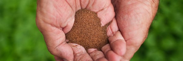 halfwheel Profile Banner