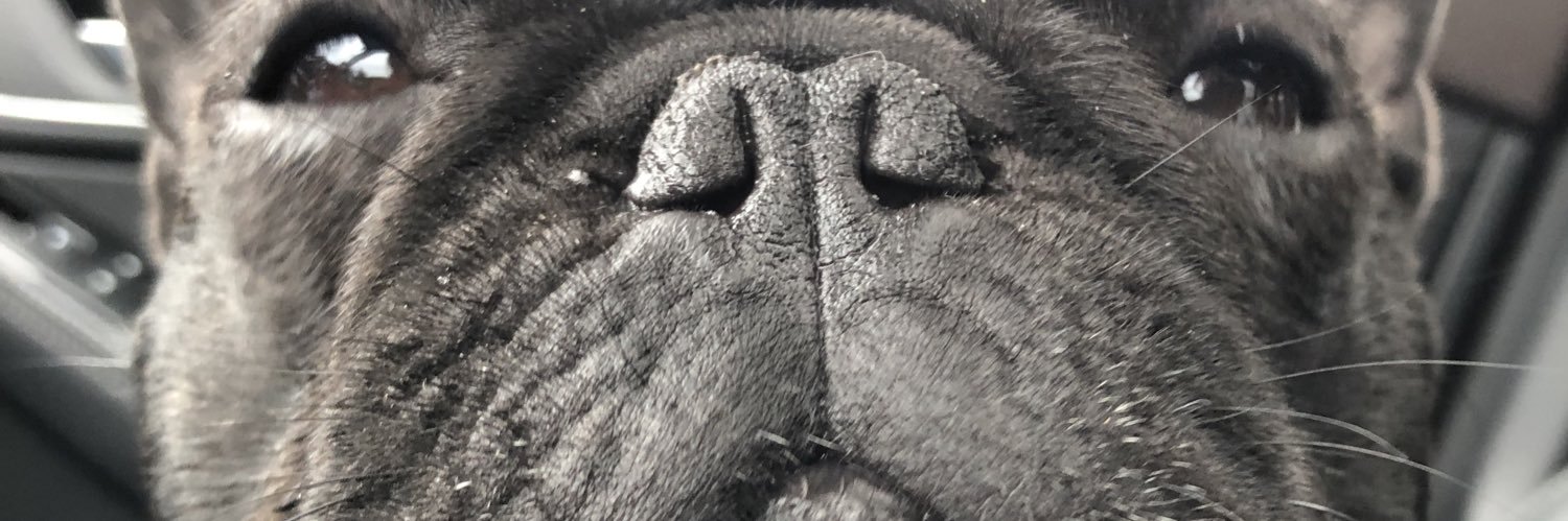 NatureNate02's profile banner image