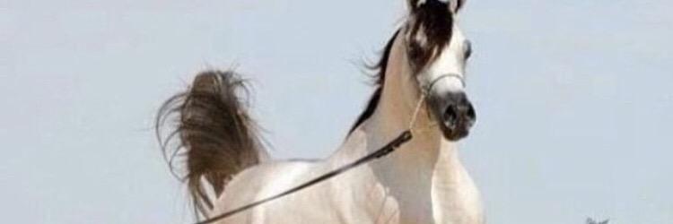 almhlky_'s profile banner image