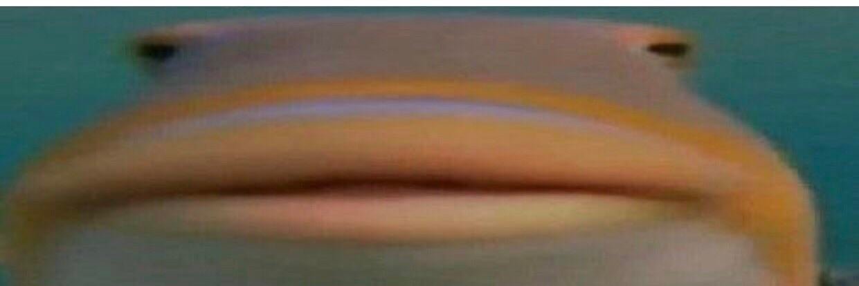 TomCamT23's profile banner image