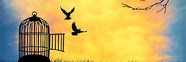 Lo_Miquelet's profile banner image