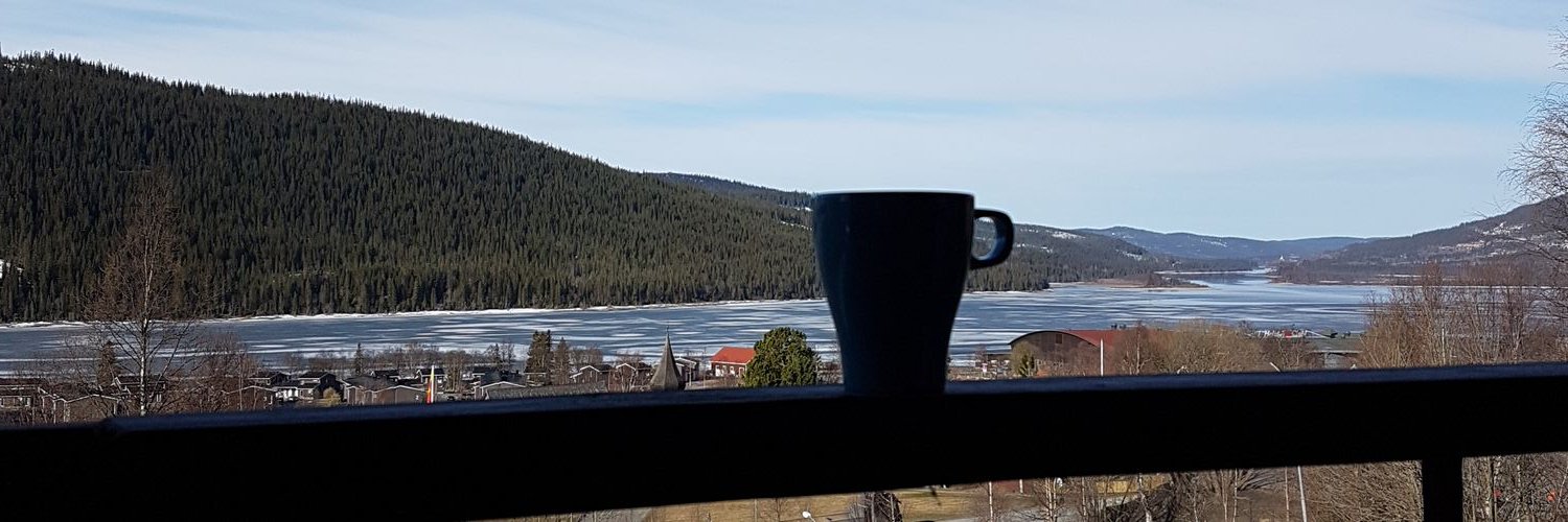 einarnordgren's profile banner image