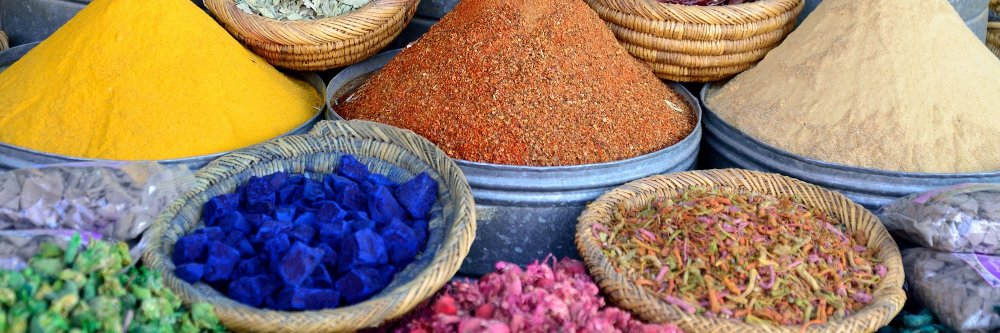 Amir The Laughing Alligator 🐊 banner