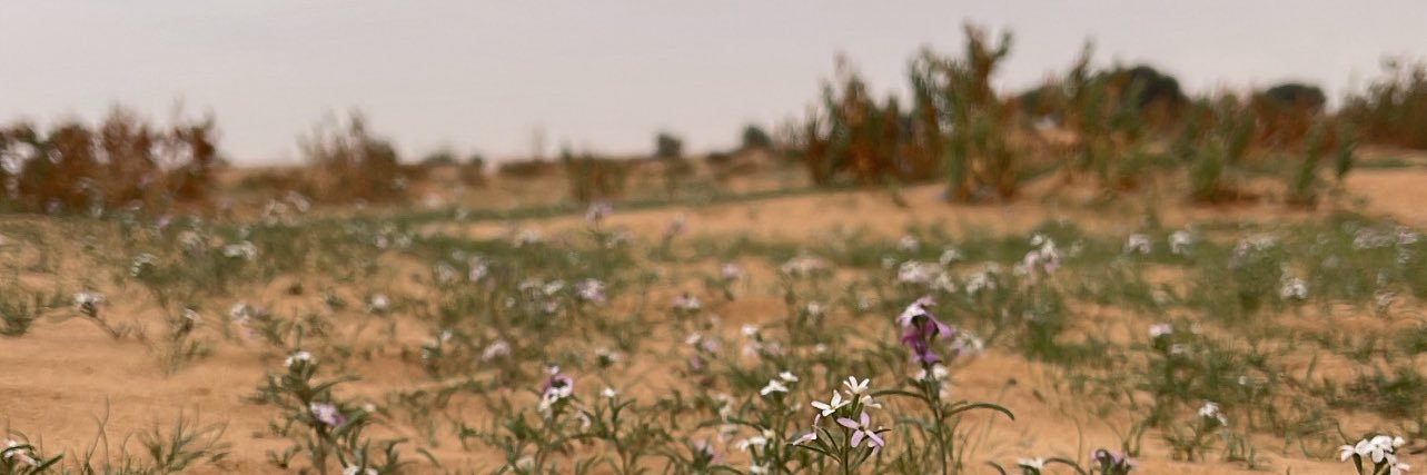 y_62i's profile banner image