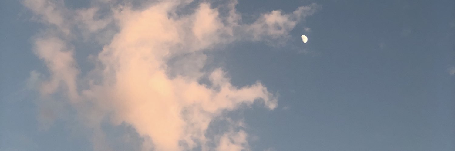 AlabriAlya's profile banner image