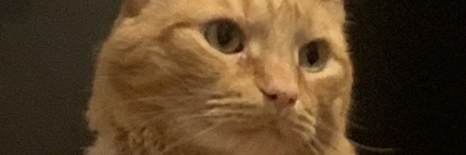 DaniNebula's profile banner image