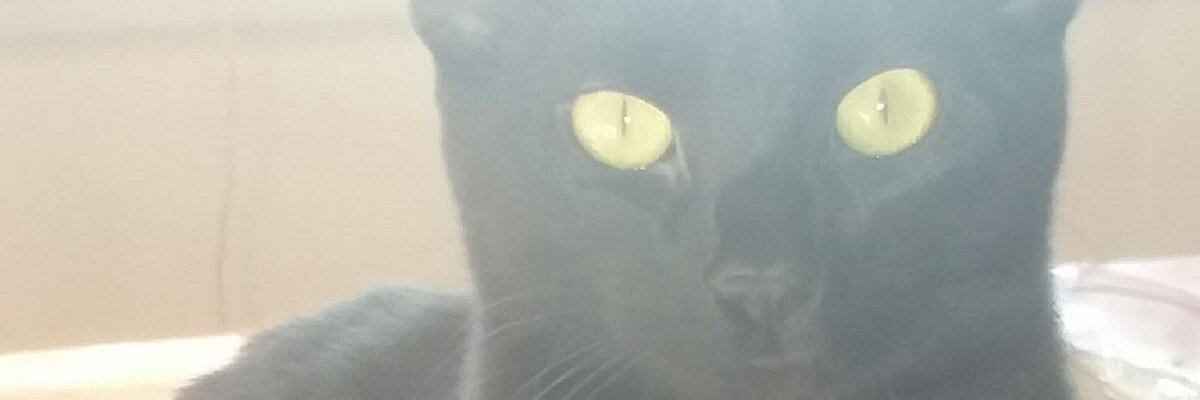 MWuerker's profile banner image