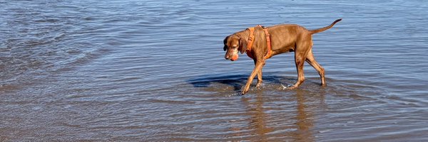 effes22 Profile Banner