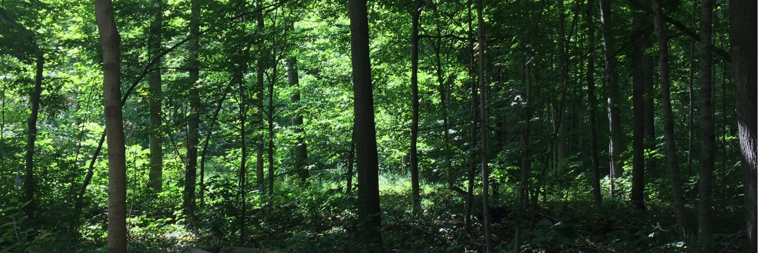 lorielee25's profile banner image