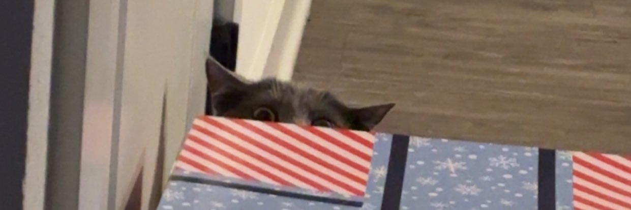 macymargielaa's profile banner image