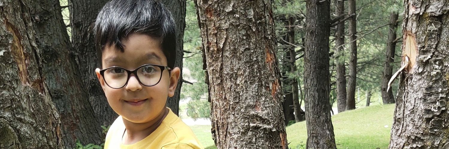 rayeeslic's profile banner image