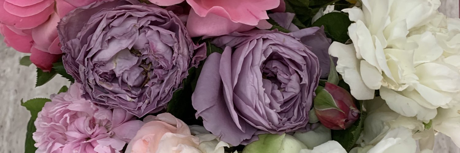 enrmns's profile banner image