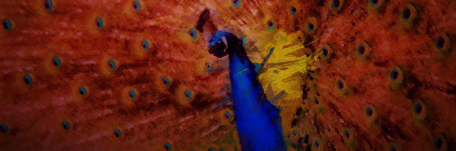 palfers45's profile banner image
