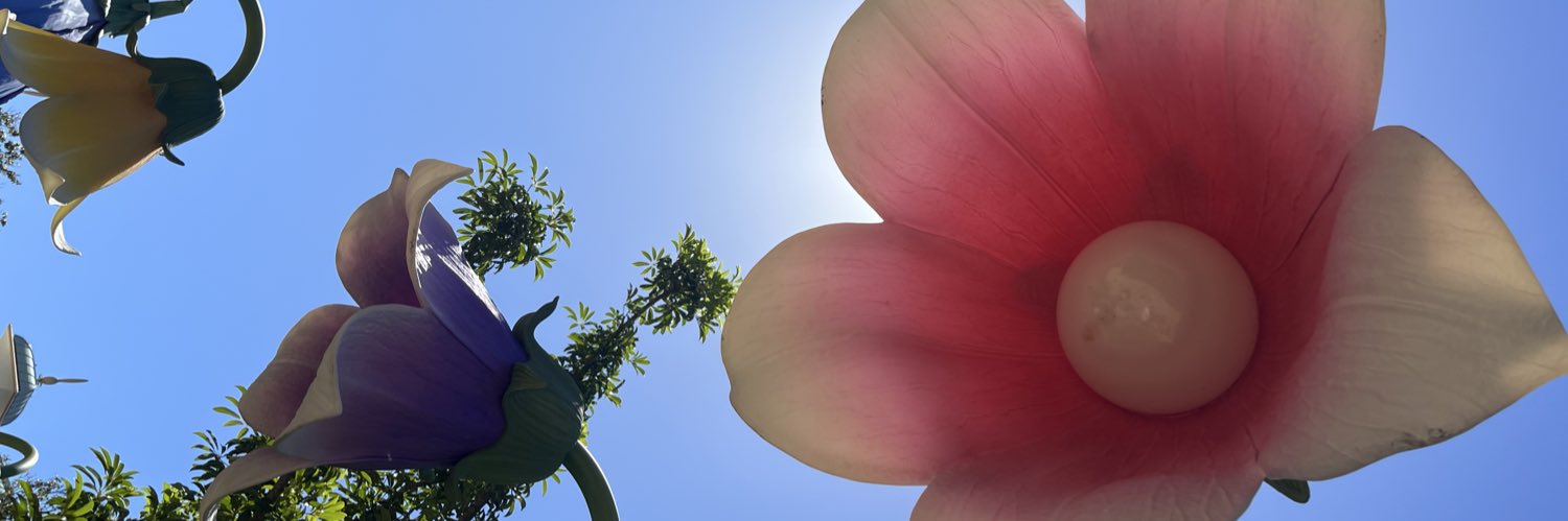 ri_arsick's profile banner image