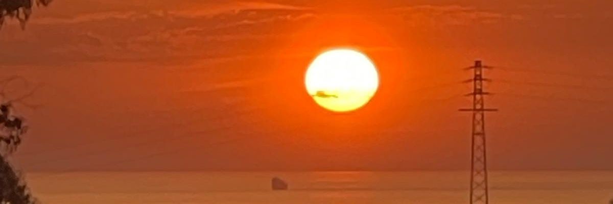 Dibluemoon 🌹 banner