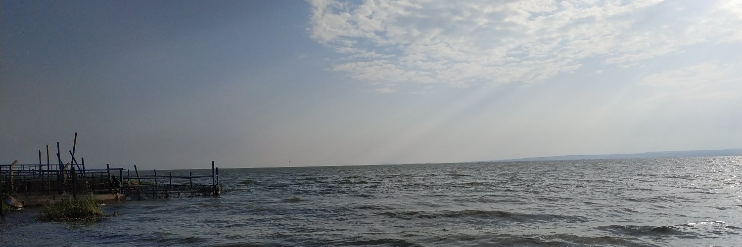 odhialo's profile banner image