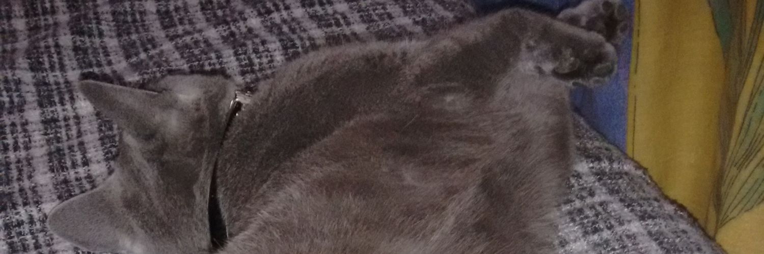 GracielaEdith13's profile banner image