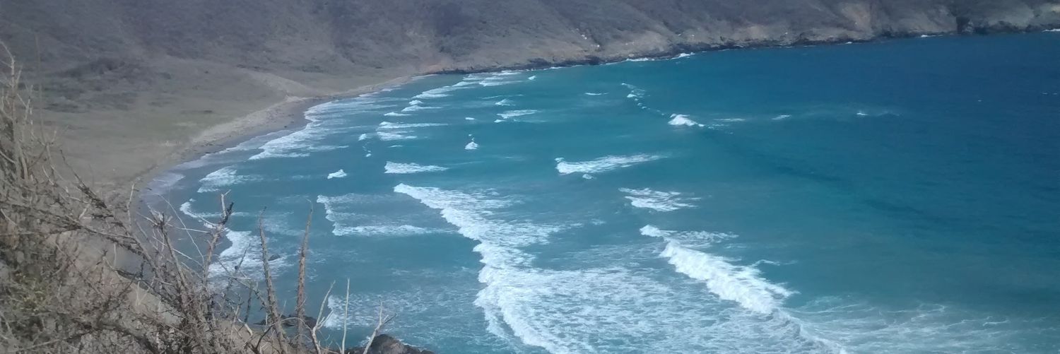IvanJaramilloM's profile banner image