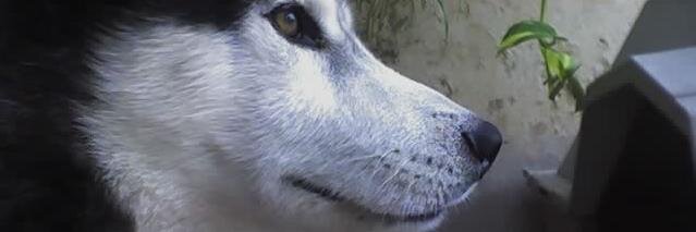 mauricioluque's profile banner image