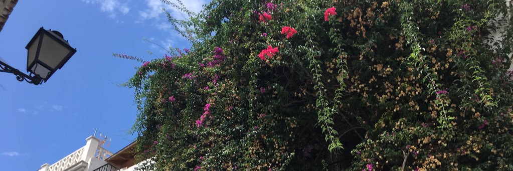 bethwakelen's profile banner image