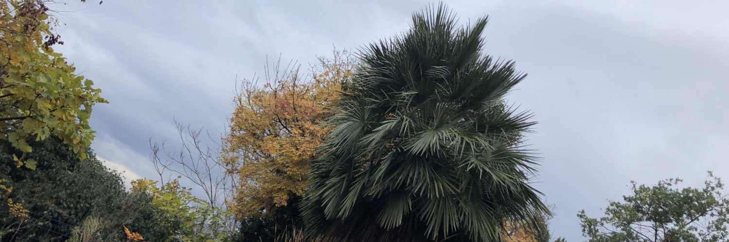 mrtheologue's profile banner image