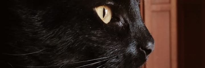 MoreeAranda's profile banner image