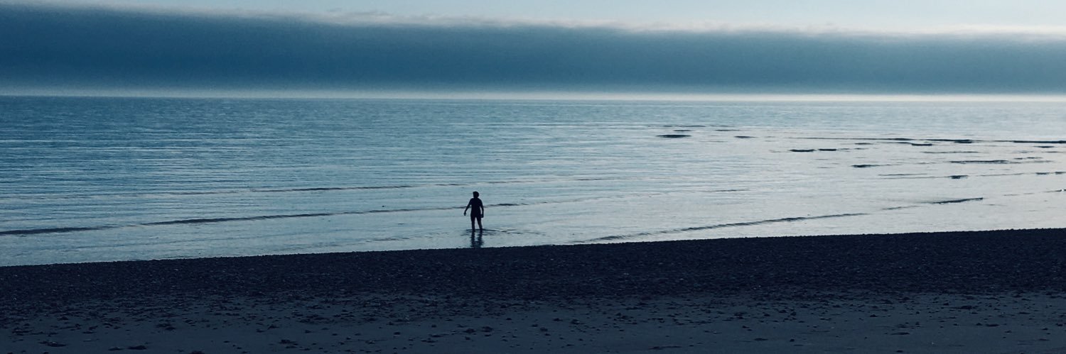 WellstoodSophie's profile banner image